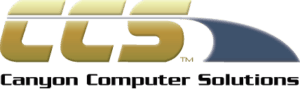 CCS logo with sleek modern design.